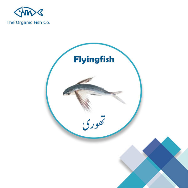Flying Fish
