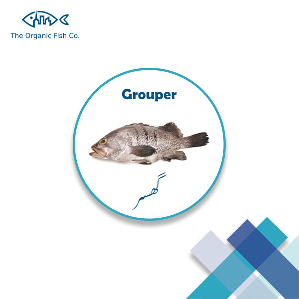 Grouper