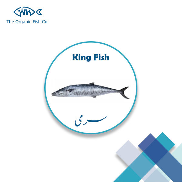 King-Fish