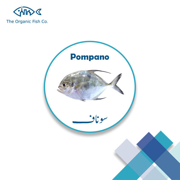 Pompano