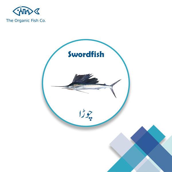 Swordfish