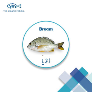 [BREAM] – FISH | ڈنڈیا