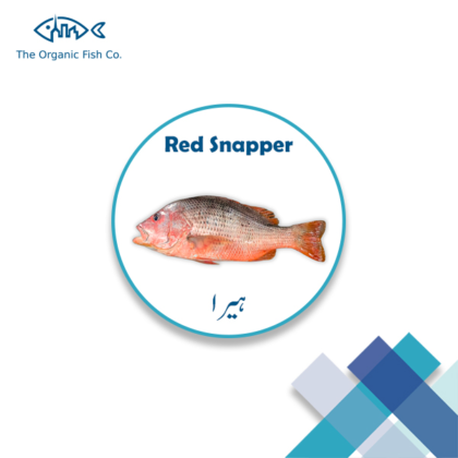 [RED-SNAPPER] – FISH | ہیرا