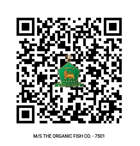 Payment QR Code