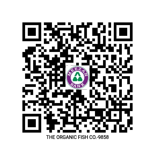 Payment QR Code